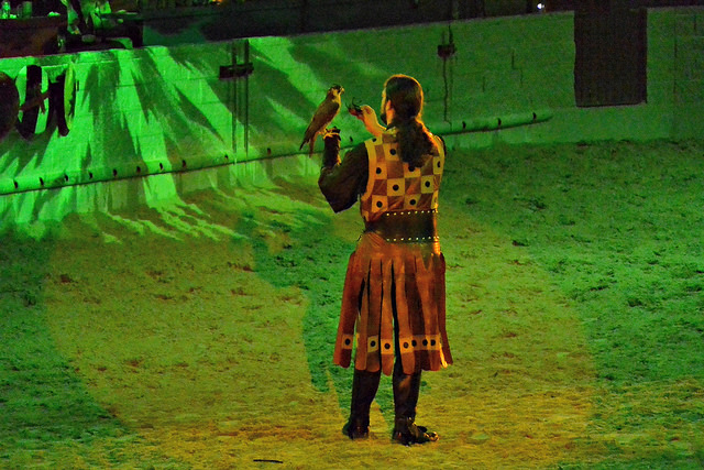 Medieval Times Falcon