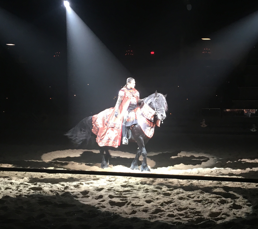 Medieval Times