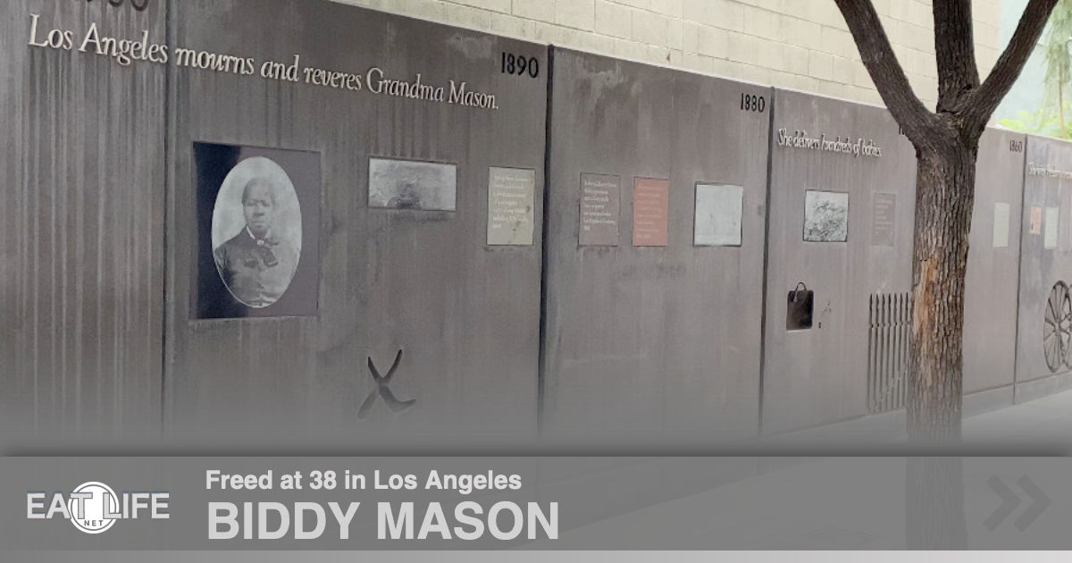 Biddy Mason