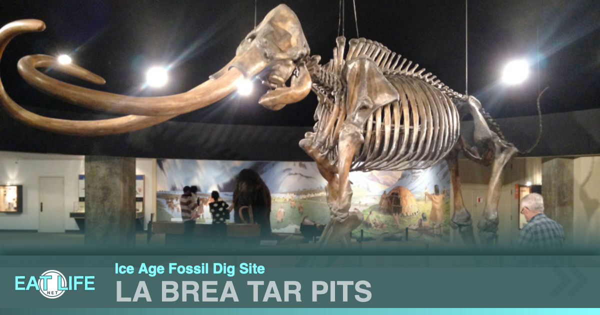La Brea Tar Pits