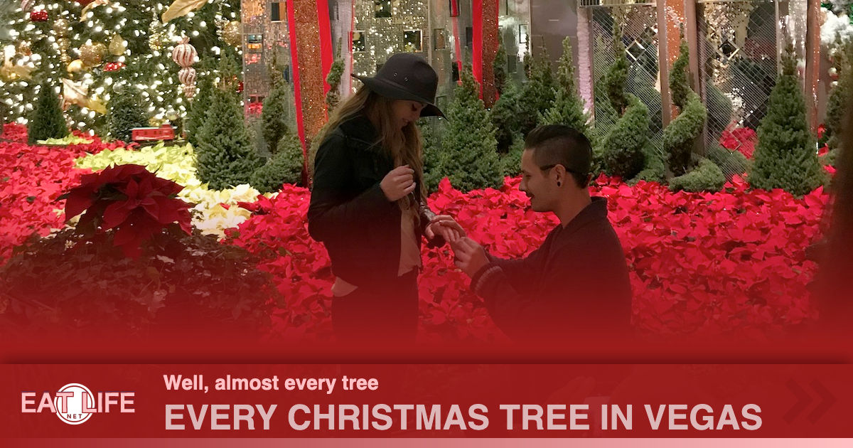 Every Christmas Tree in Vegas