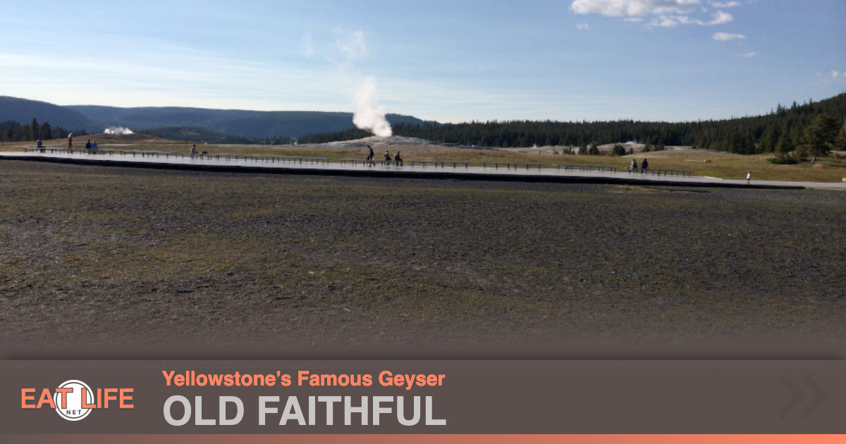 Old Faithful