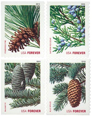 Pinecones on Evergreen Trees Forever Stamps