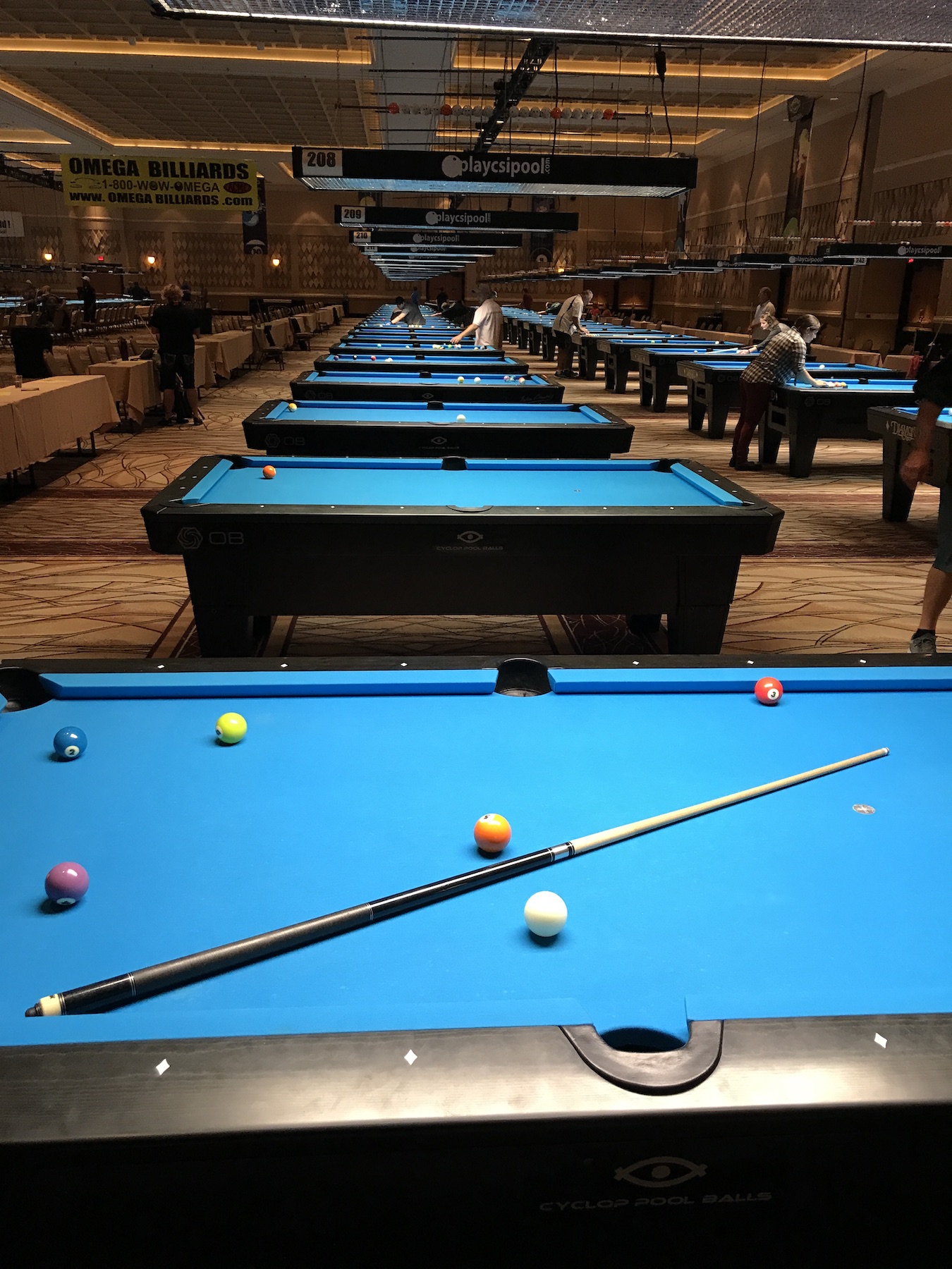 Predator 5k Pool Cue