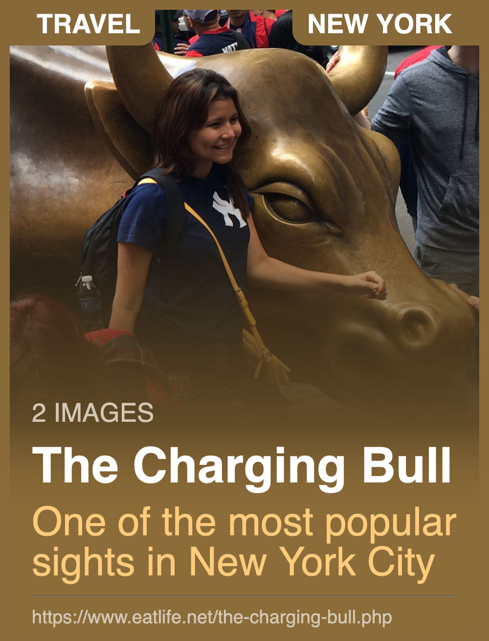 The Charging Bull