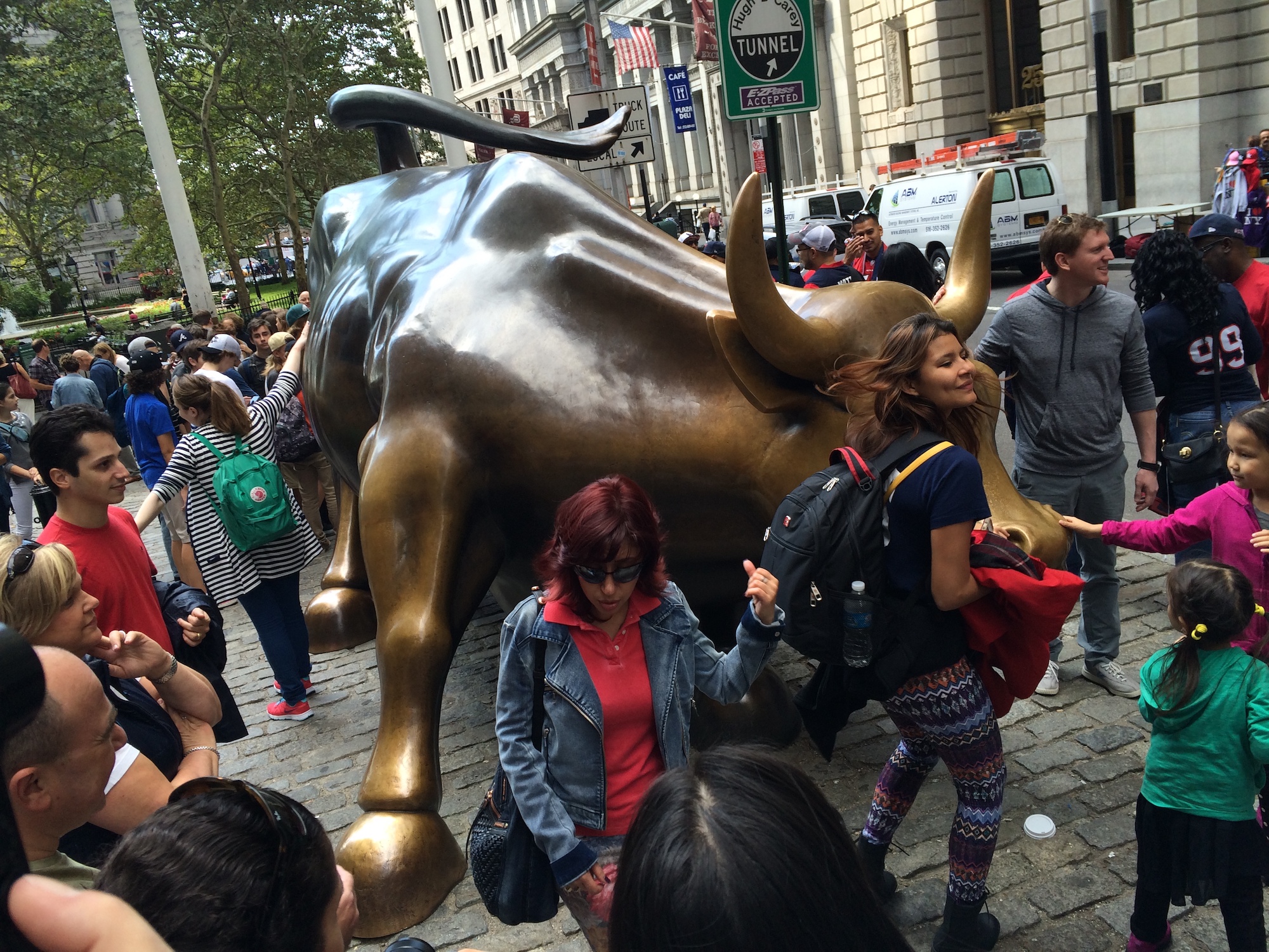 The Charging Bull