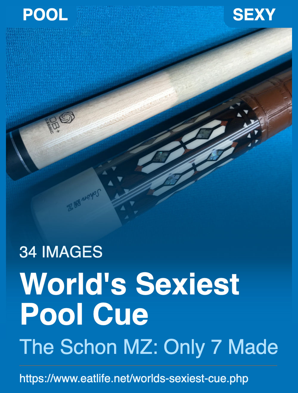 World's Sexiest Pool Cue