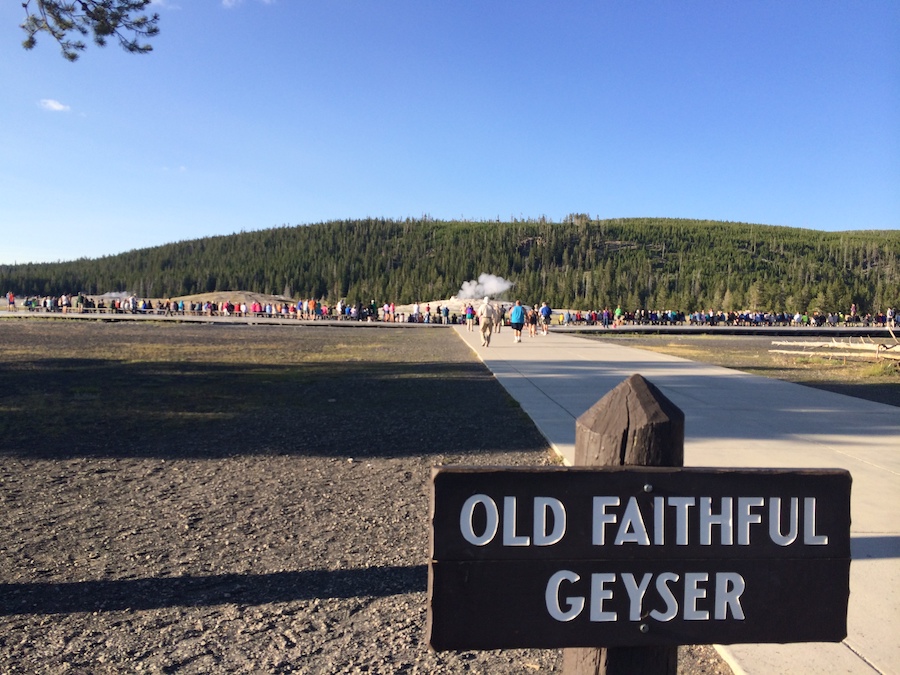 Old Faithful