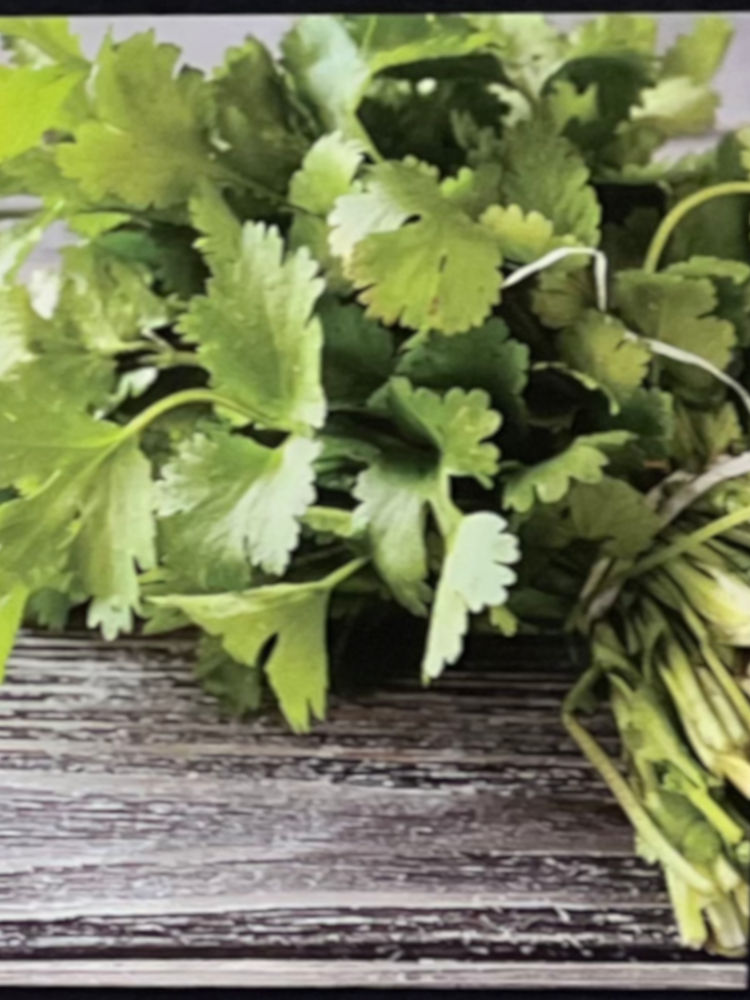 Cilantro Baja Fresh Cilantro