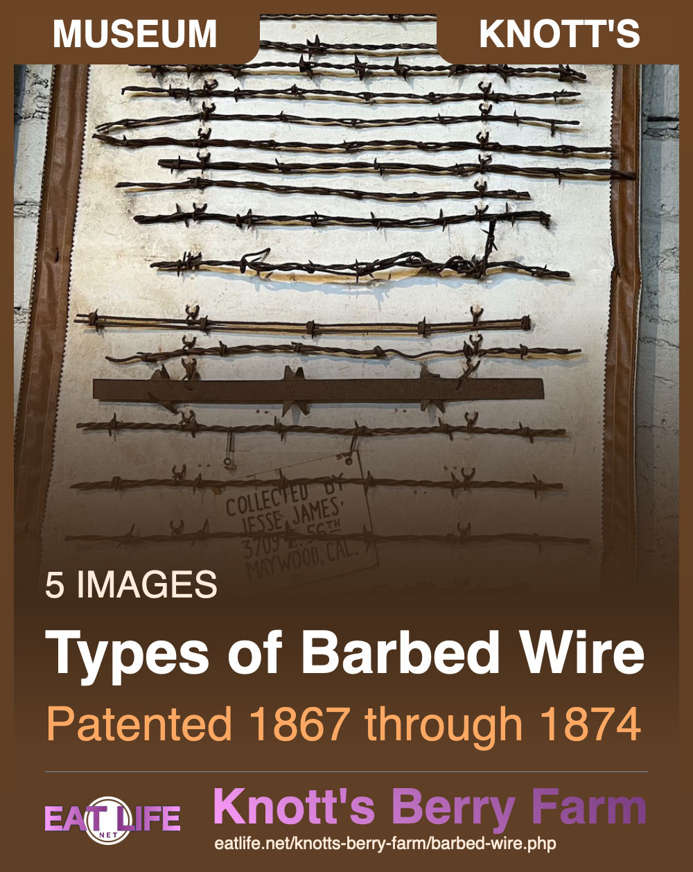 Barbed Wire