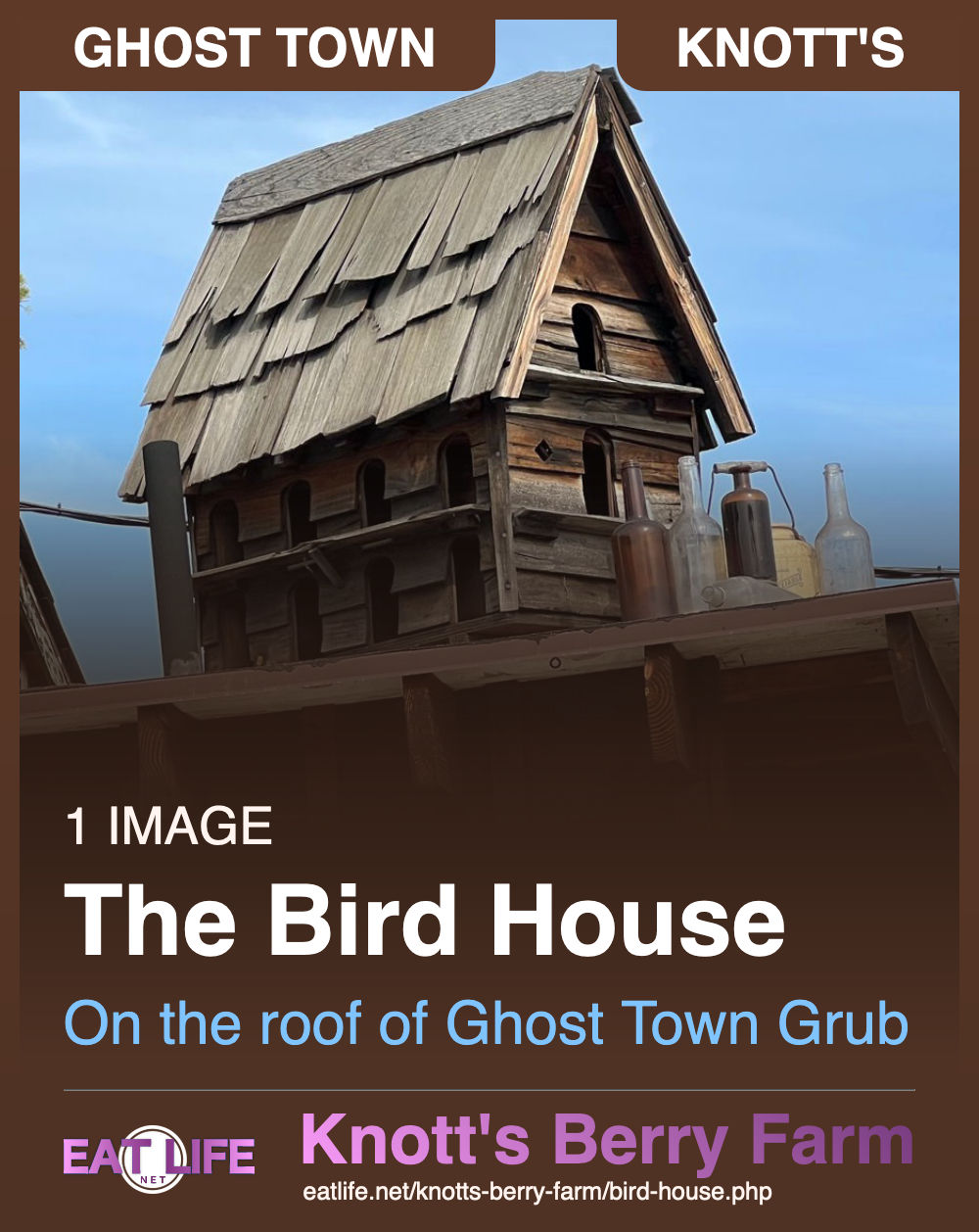 Bird House