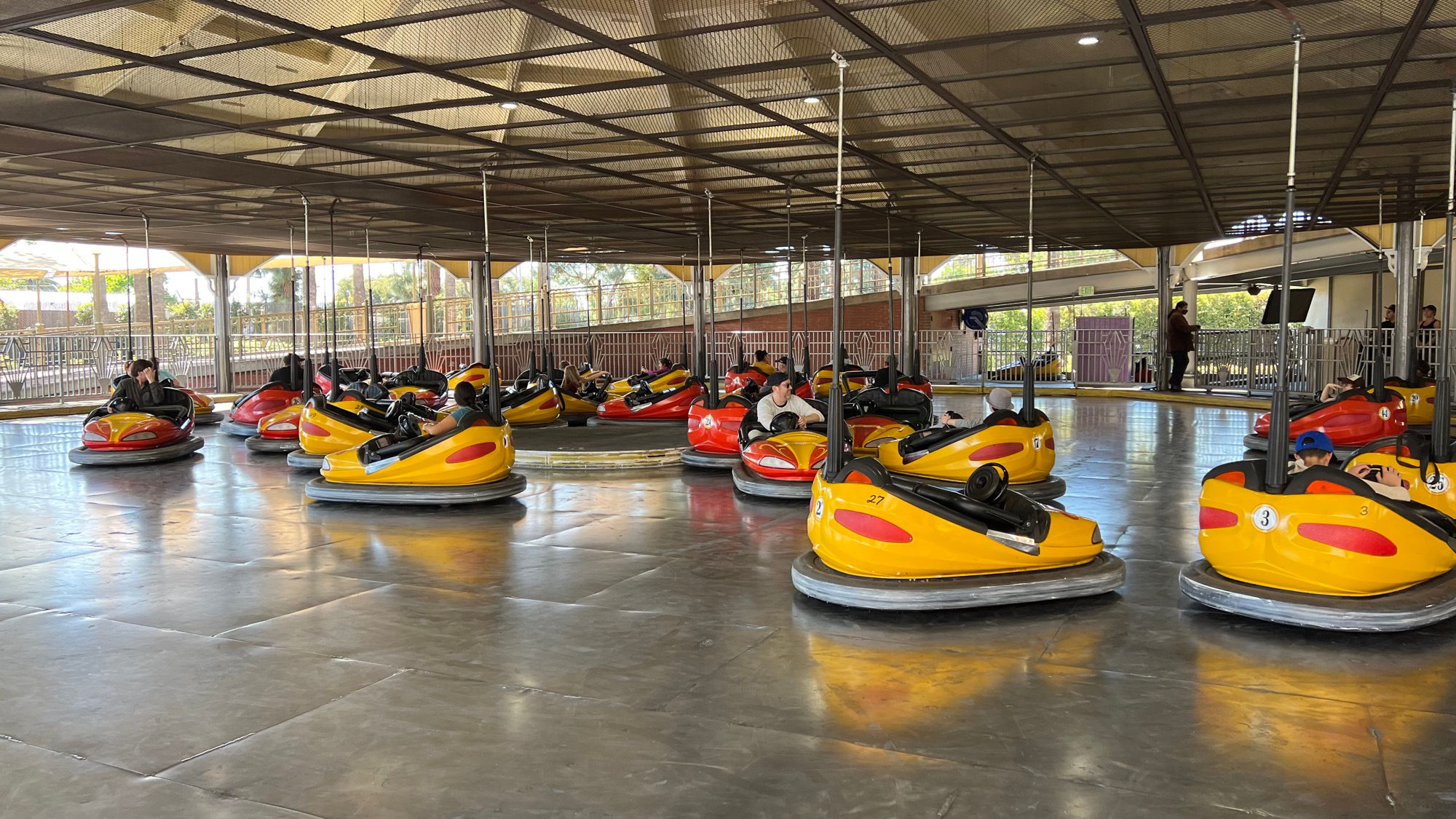 Wheeler Dealer Bumper Cars