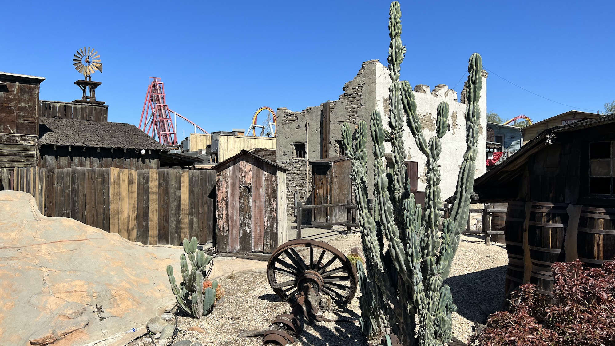 Cactus