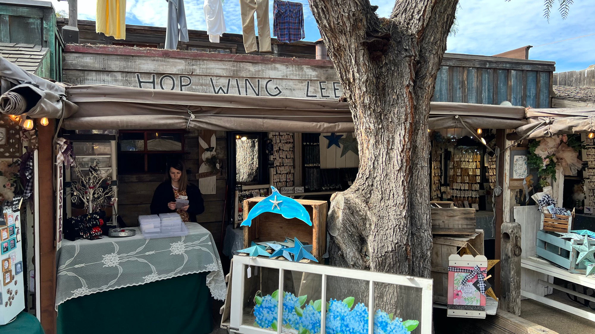 Boysenberry Festival Earrings Booth