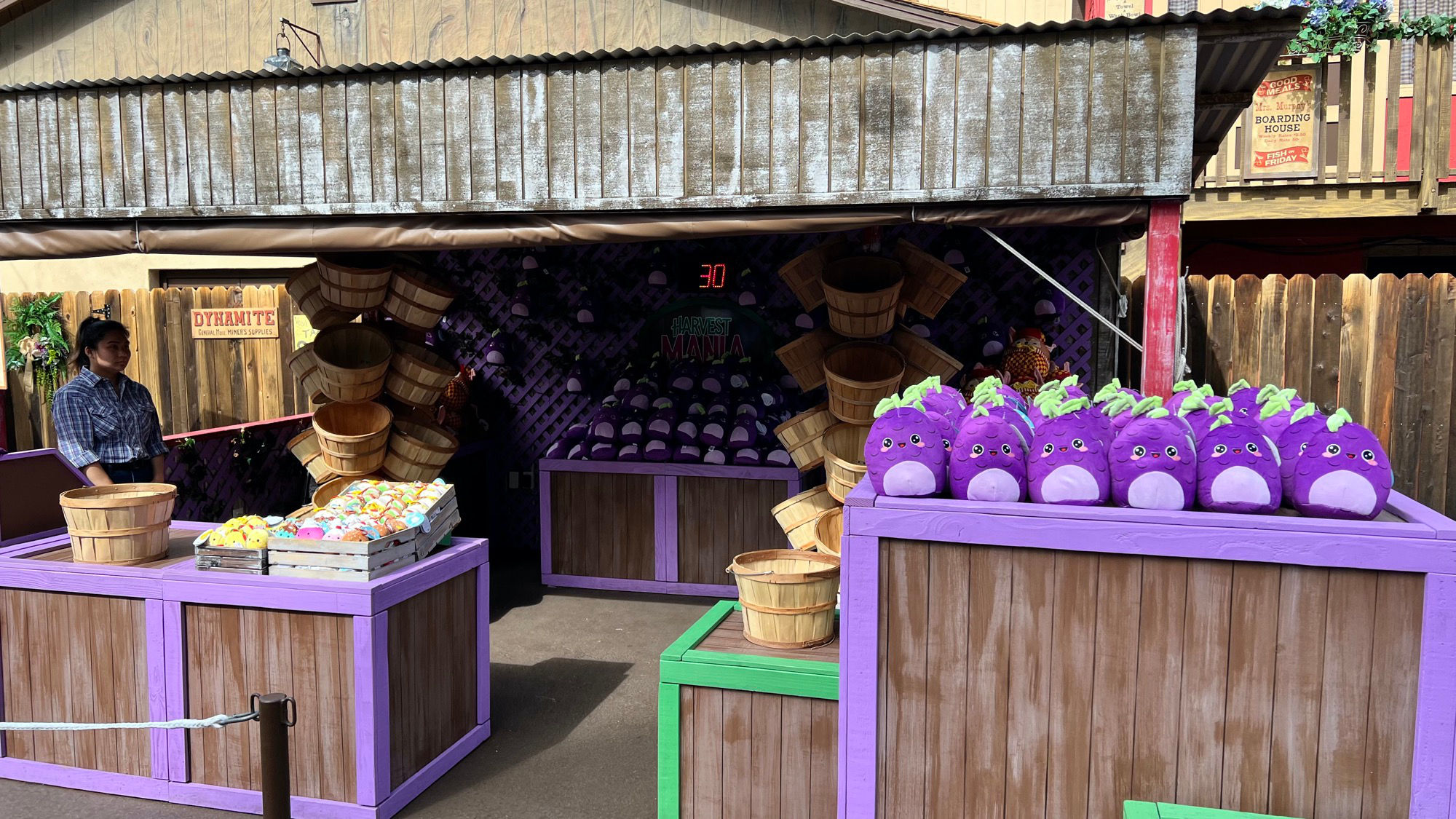 Boysenberry Festival Harvest Mania Booth