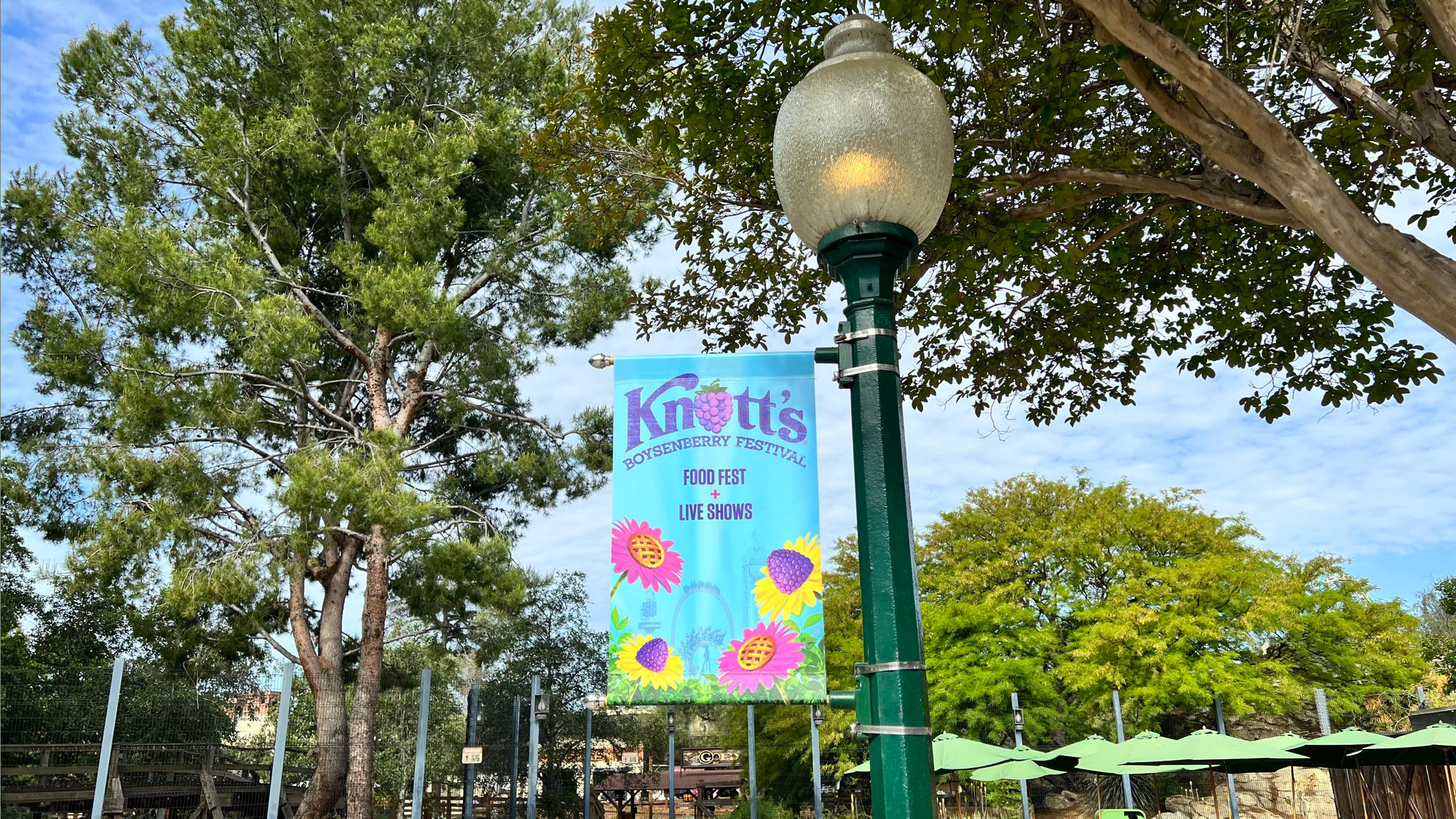 Lamp Banner Boysenberry Festival Lamp Banner