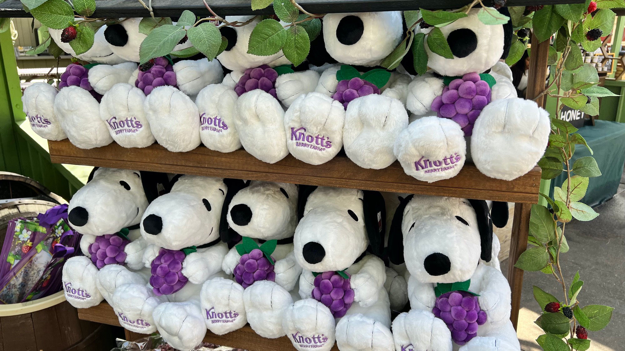 Snoopy Boysenberry Festival Snoopy