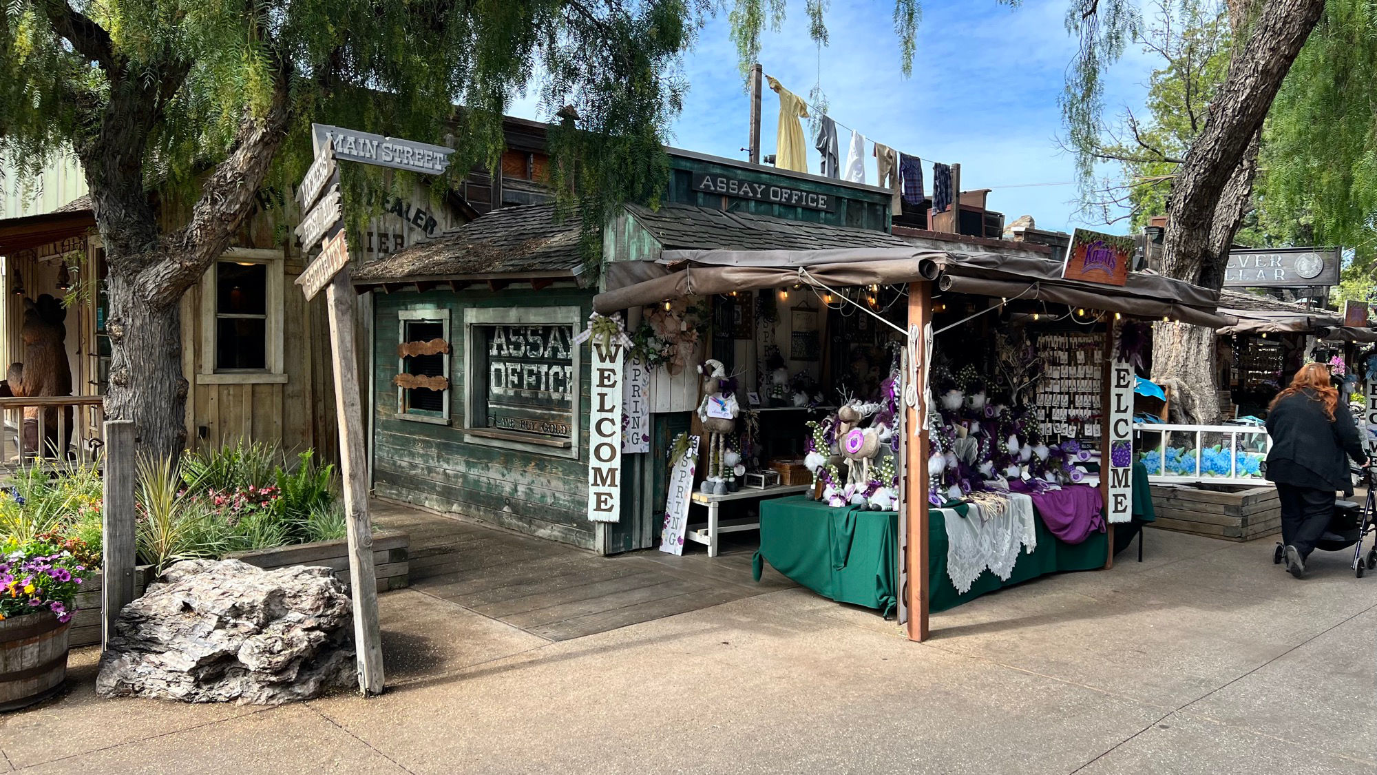 Boysenberry Festival Welcoming Spring Booth