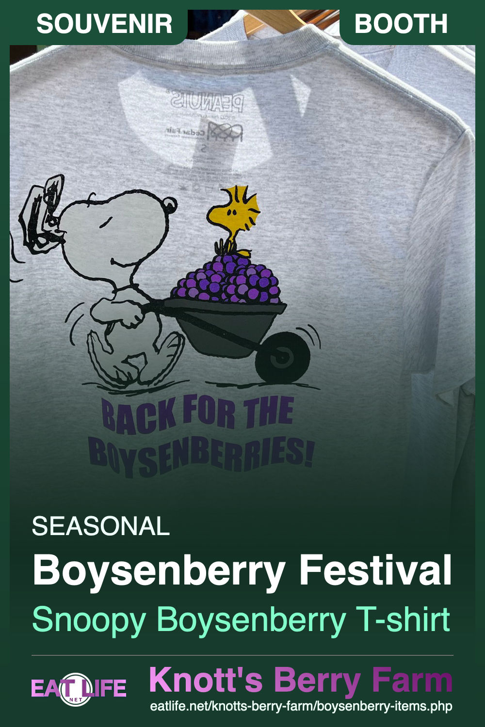 Boysenberry Items
