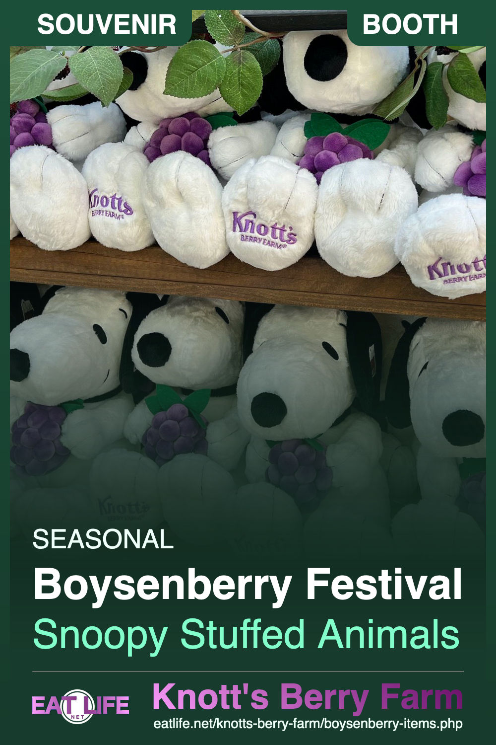 Boysenberry Items