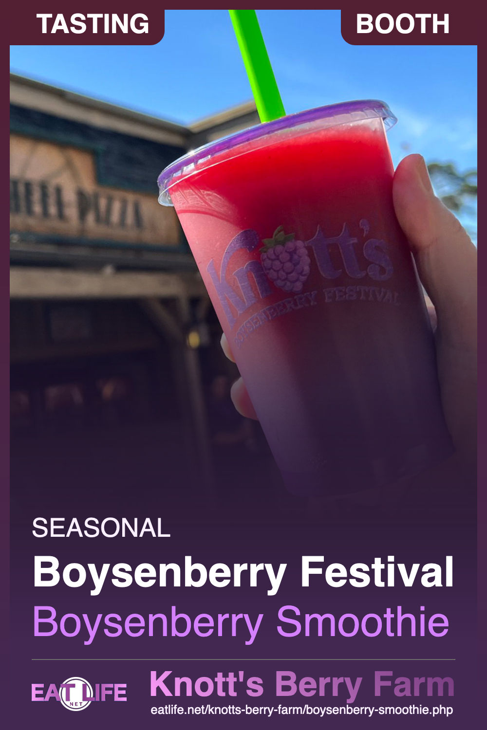 Boysenberry Smoothie