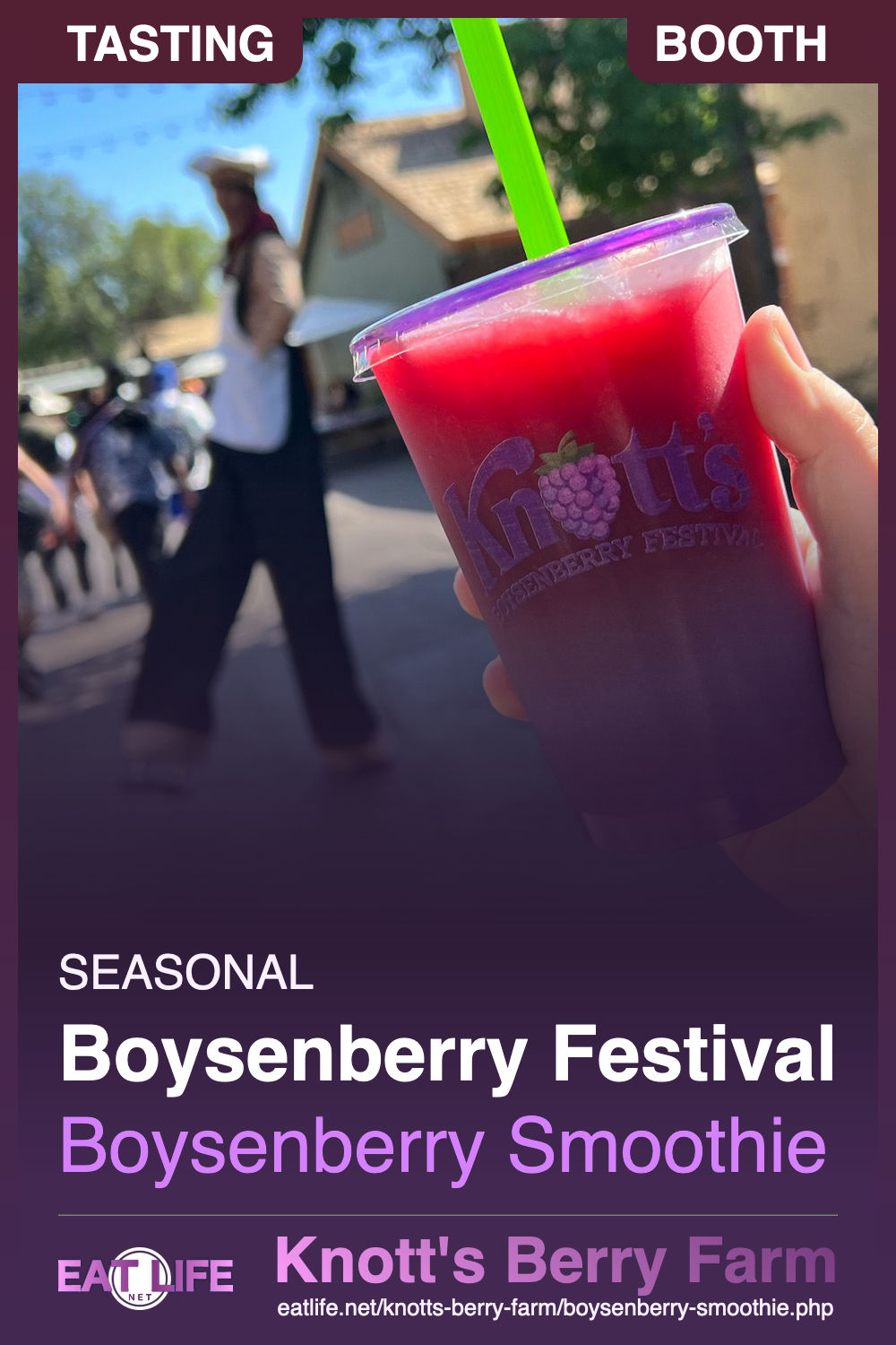 Boysenberry Smoothie