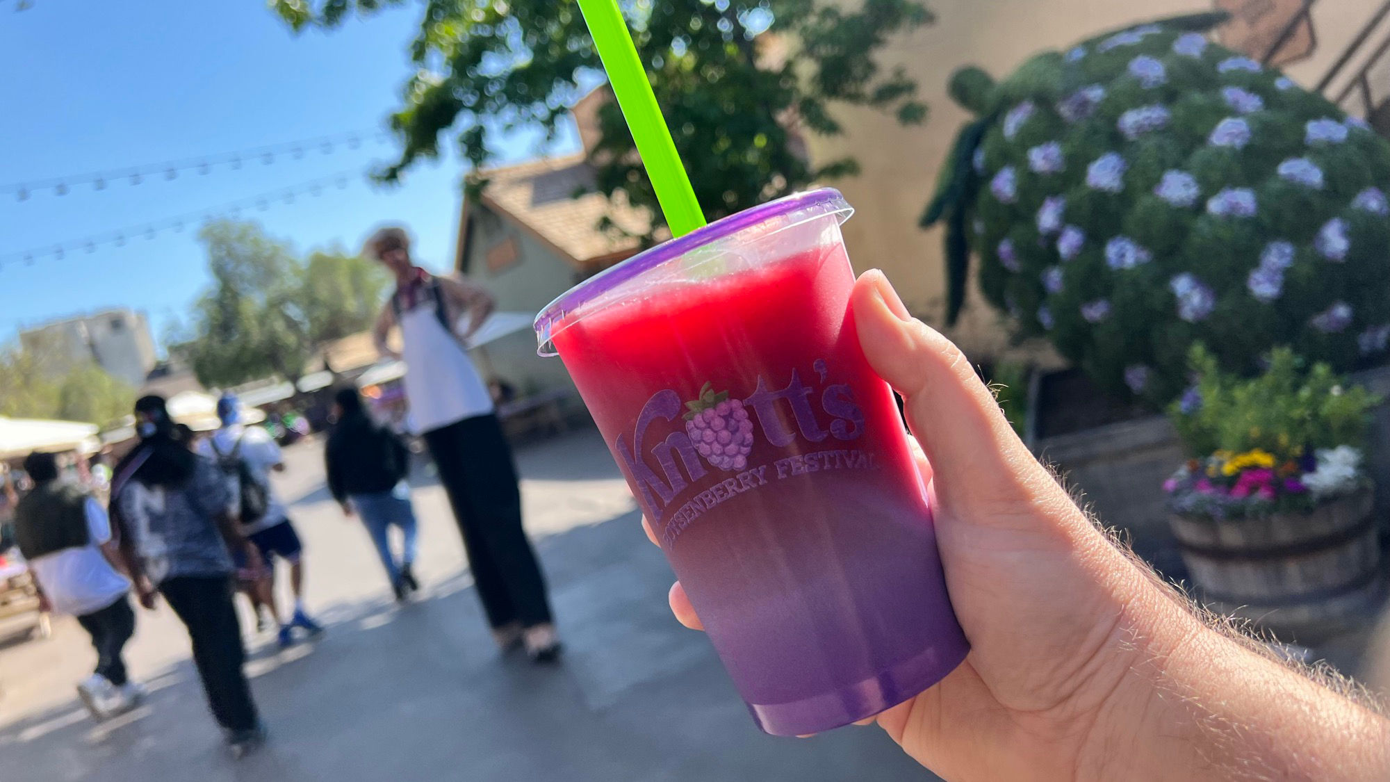 Boysenberry & Pomegranate Smoothie Man on Stilts