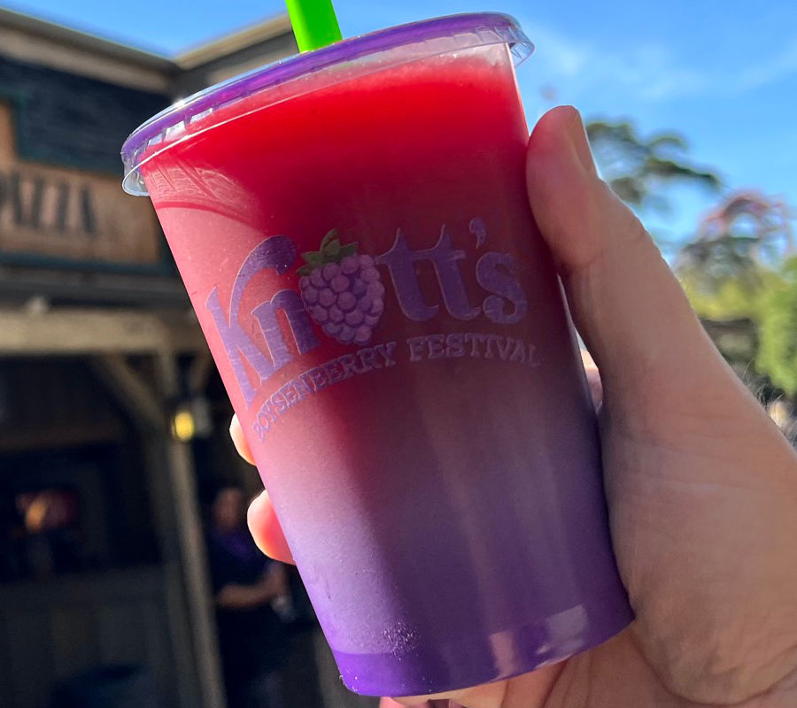 Boysenberry Smoothie