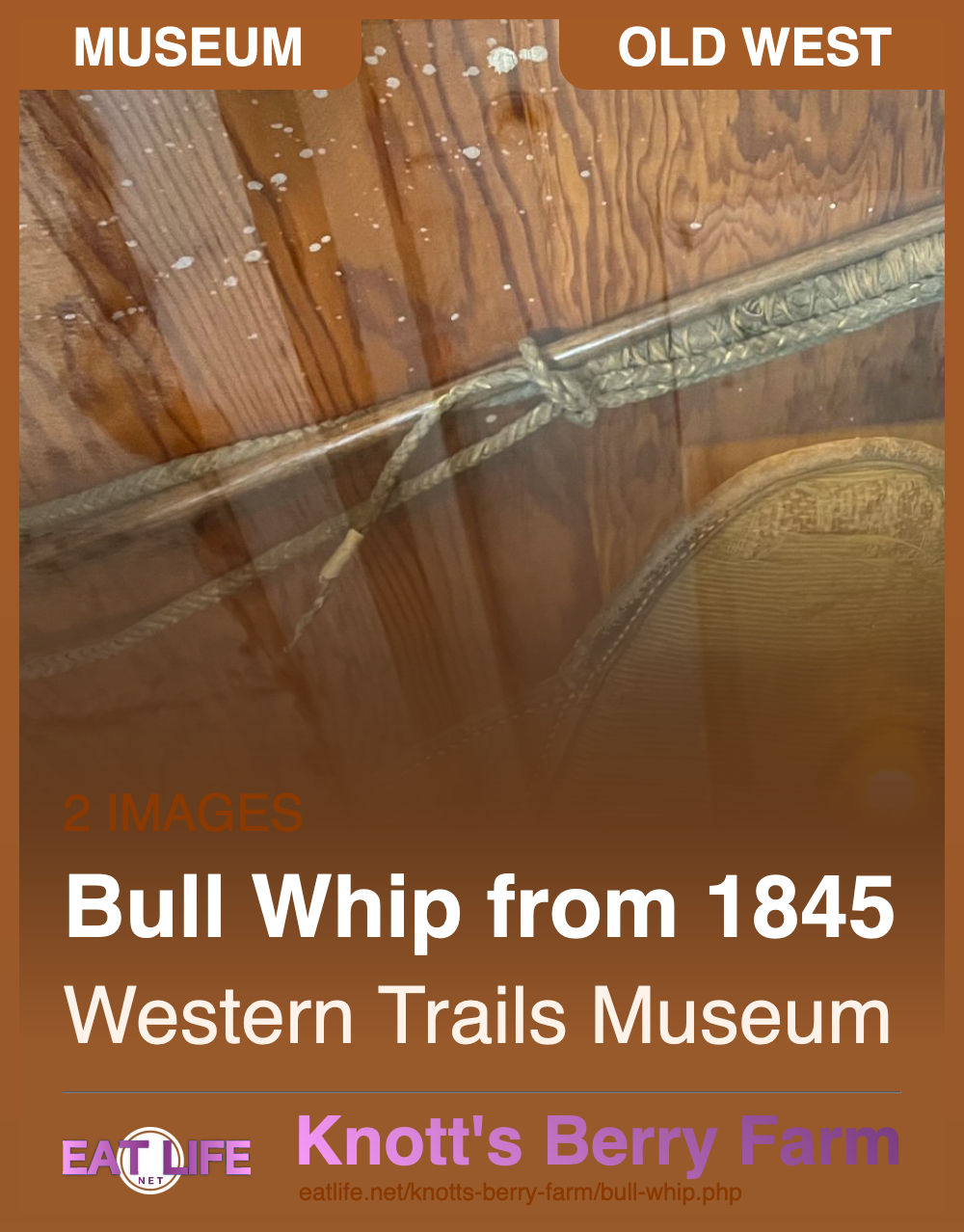 Bull Whip