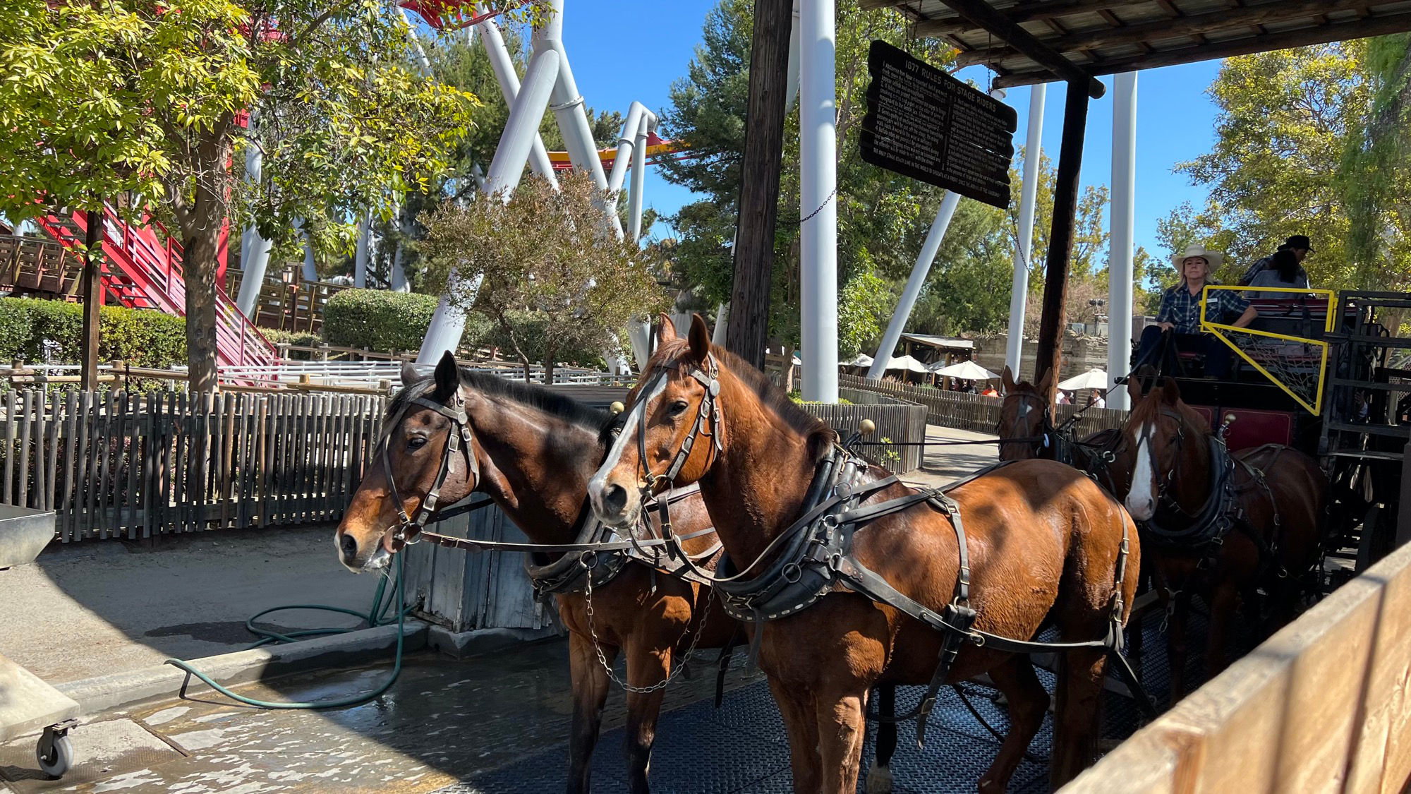 Butterfield Stagecoach 4-up Hitch