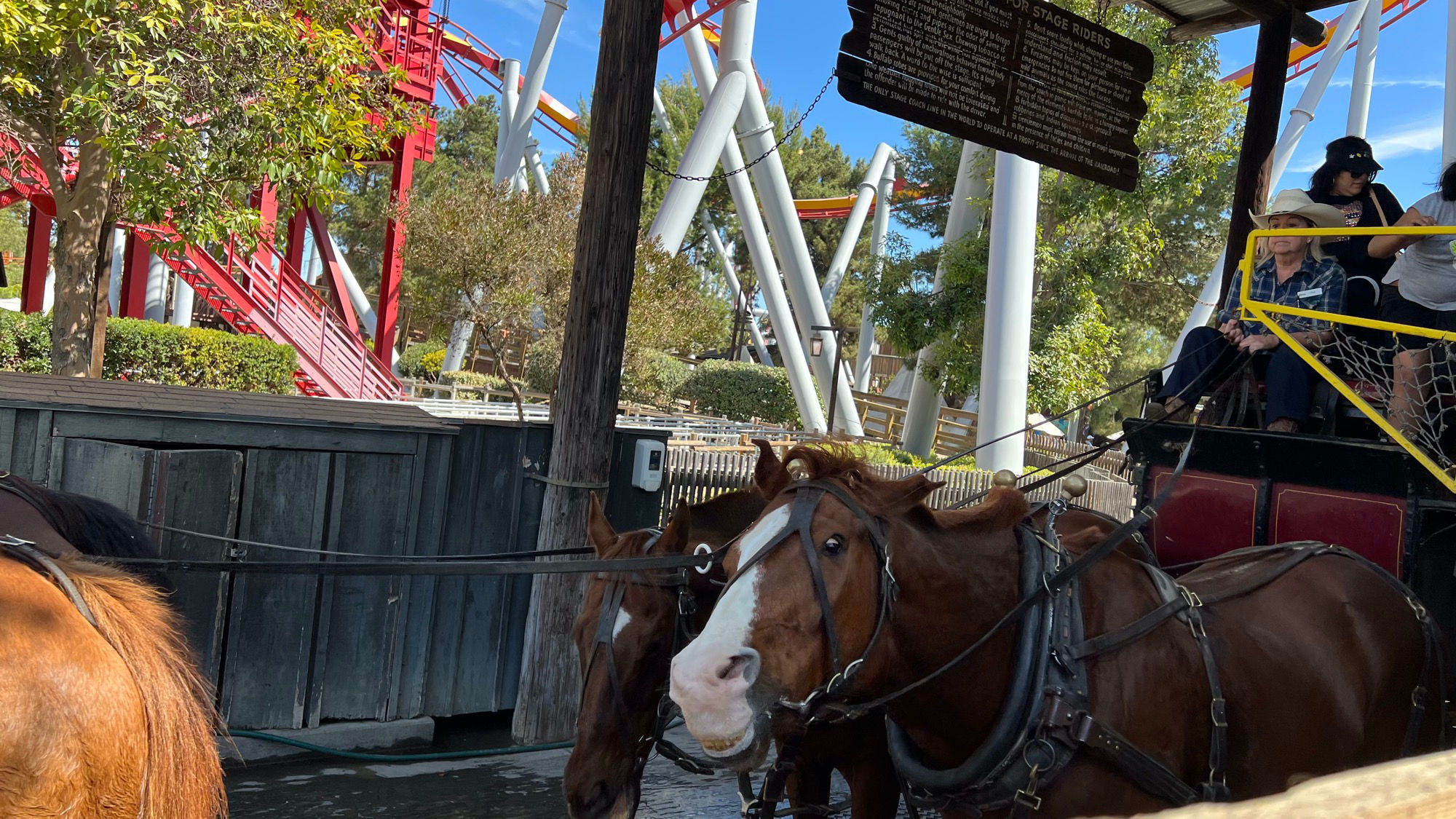 Butterfield Stagecoach Horses
