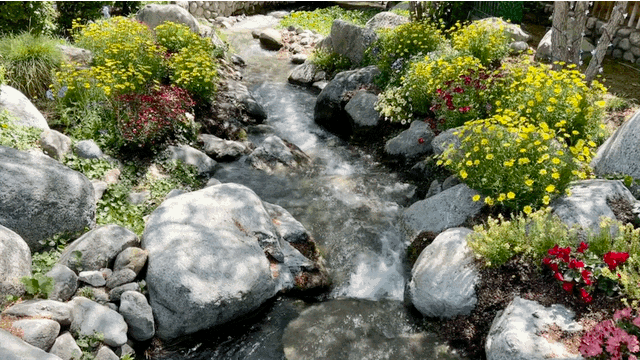 Camp Snoopy Stream Knott's Berry Farm Camp Snoopy Stream