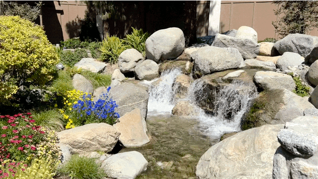 Camp Snoopy Stream Knott's Berry Farm Camp Snoopy Stream