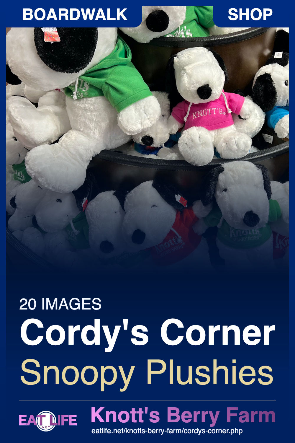 Cordy's Corner