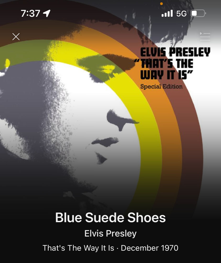 Blue Suede Shoes