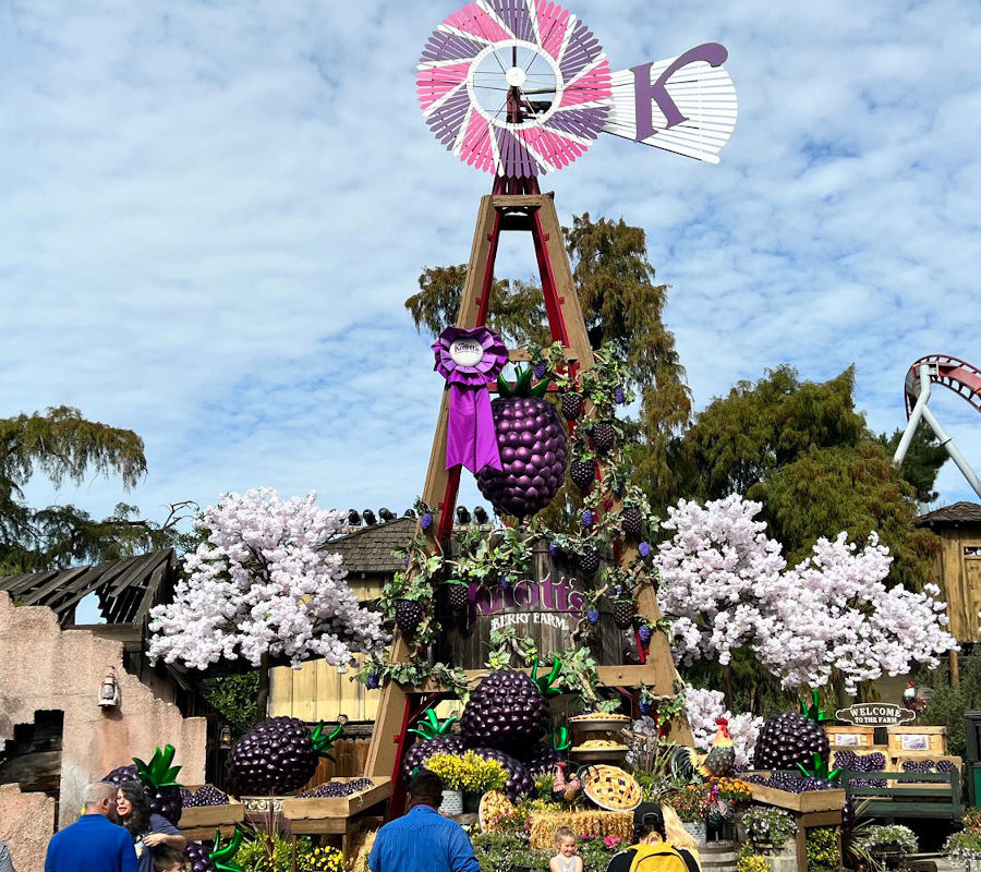 Entrance Windmill