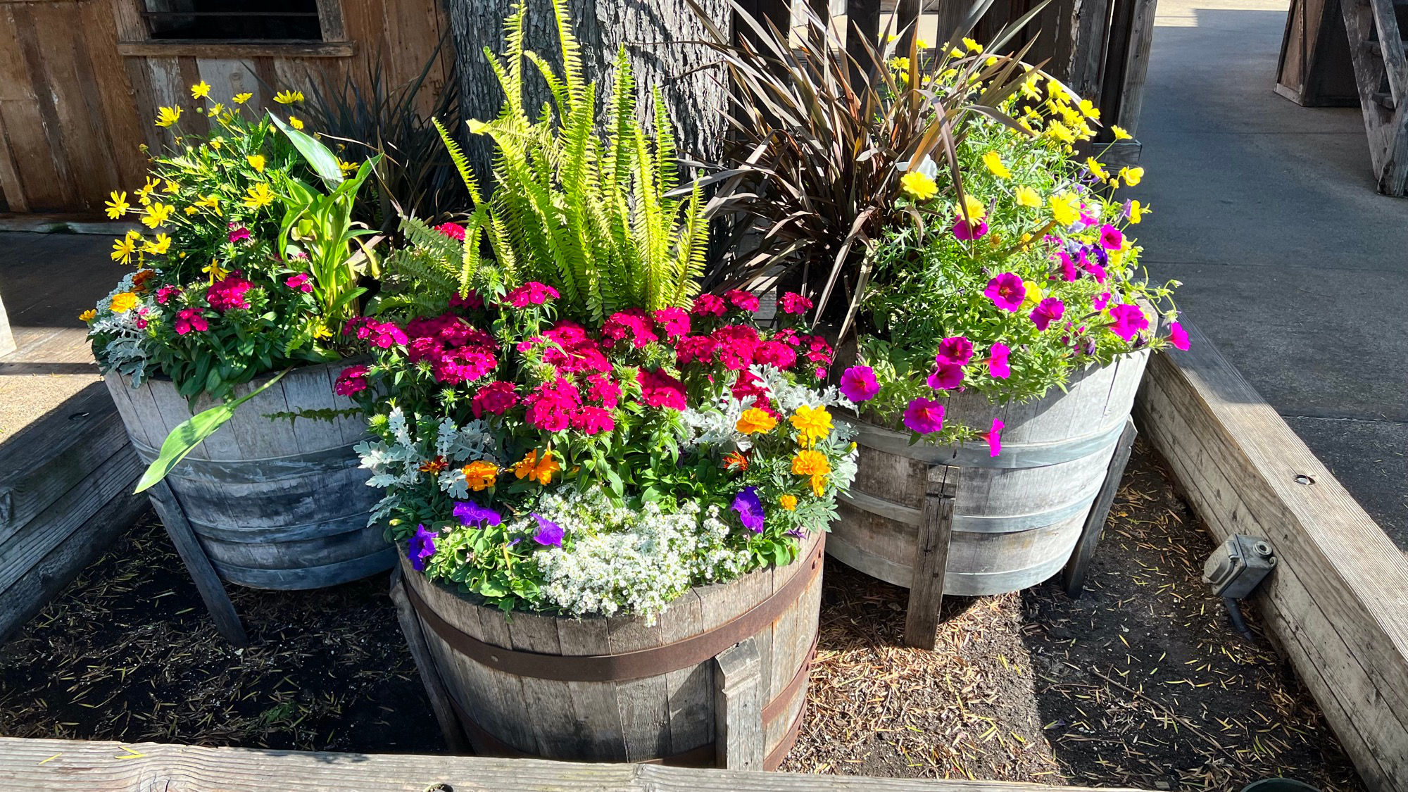 Flowers in front of the General Store
