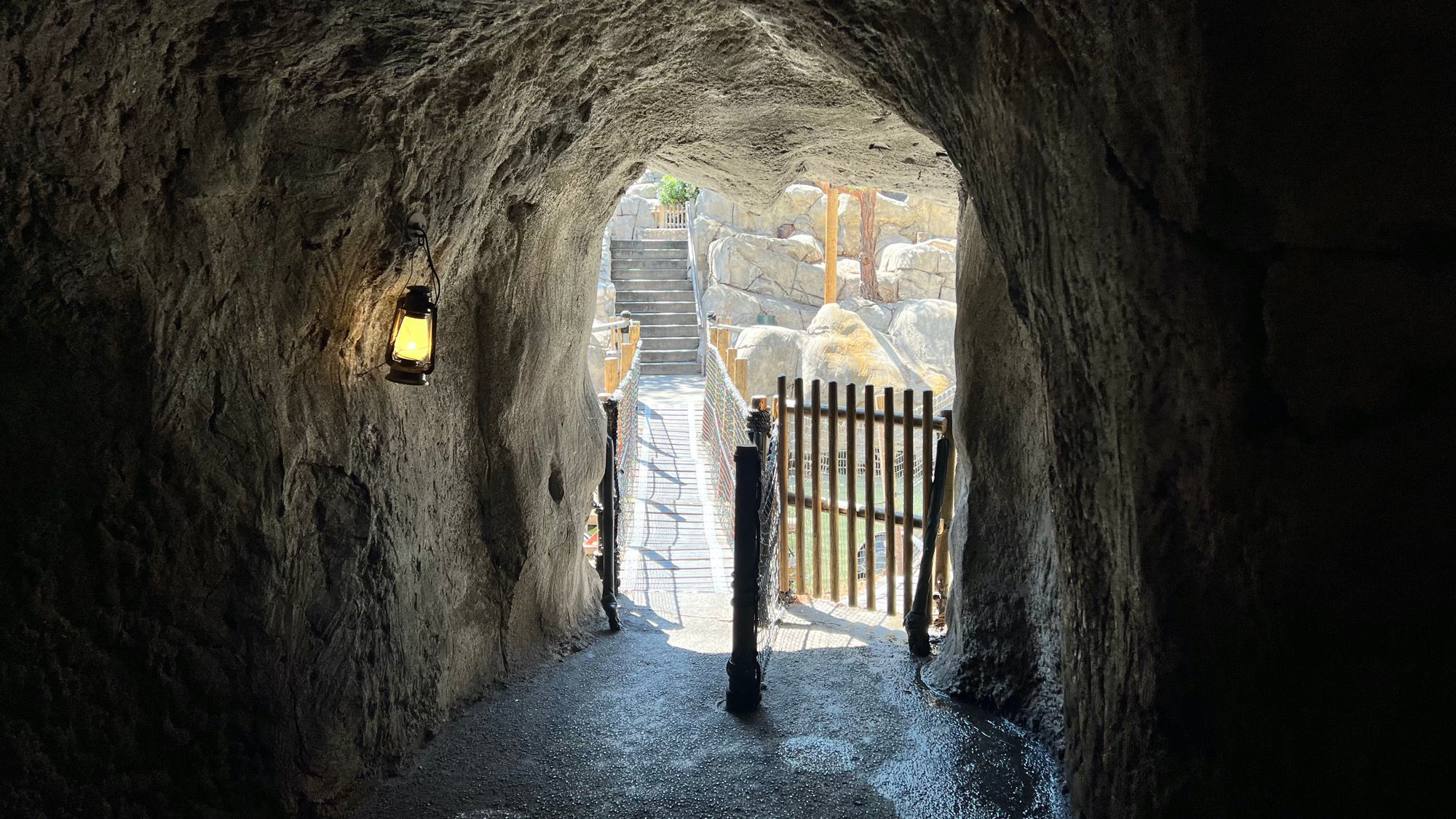 Grizzly Creek Cave Looking Out