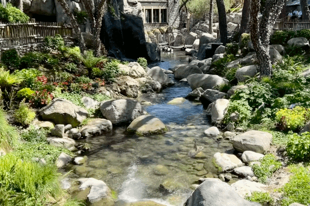 Grizzly Creek Knott's Berry Farm Grizzly Creek