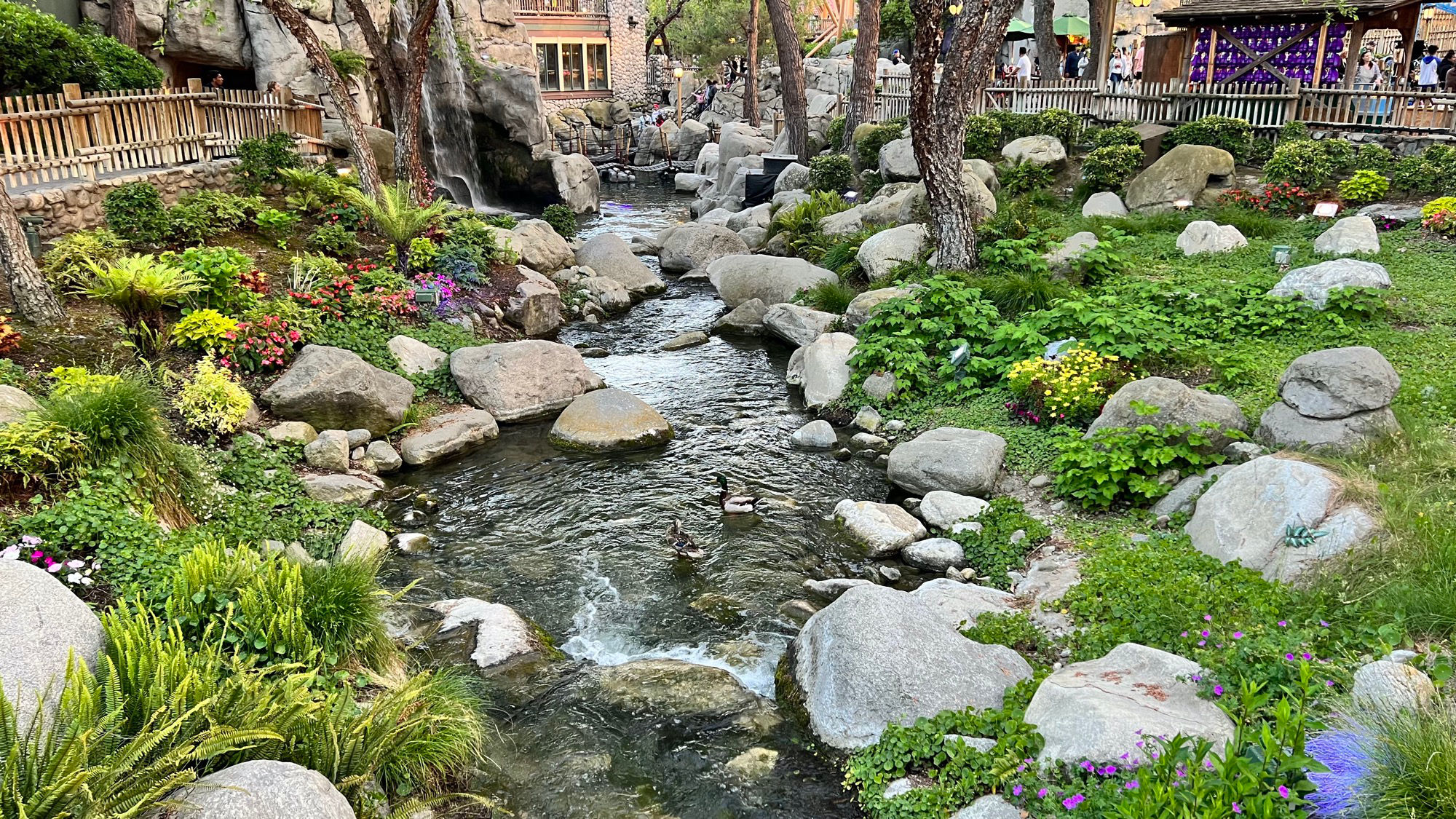 Grizzly Creek Stream