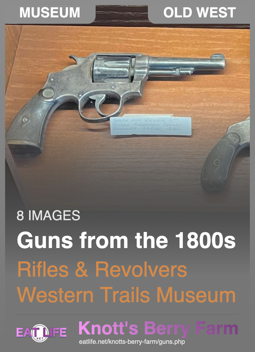 Guns from the 1800s