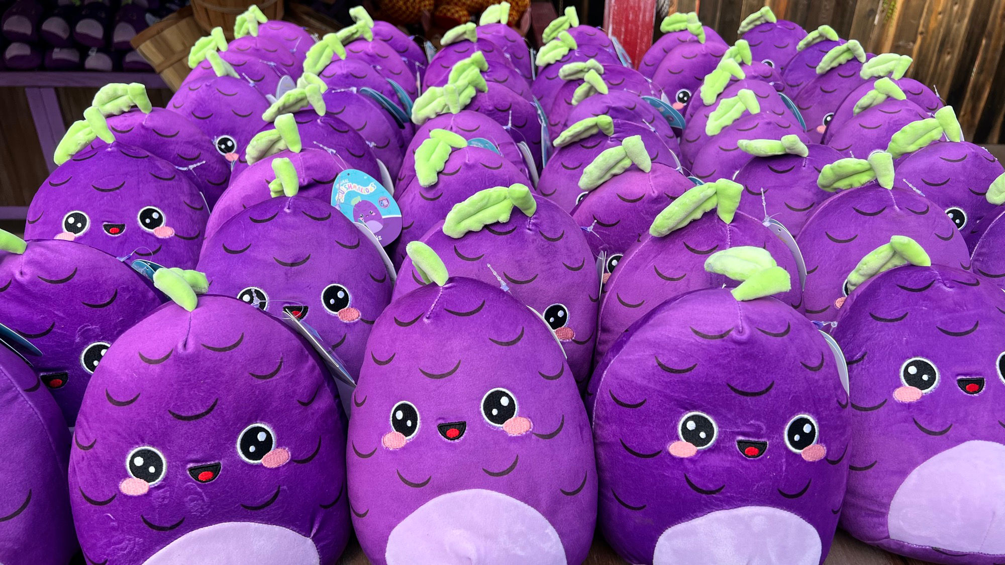 Boysenberry Festival Squishmallow Prizes!