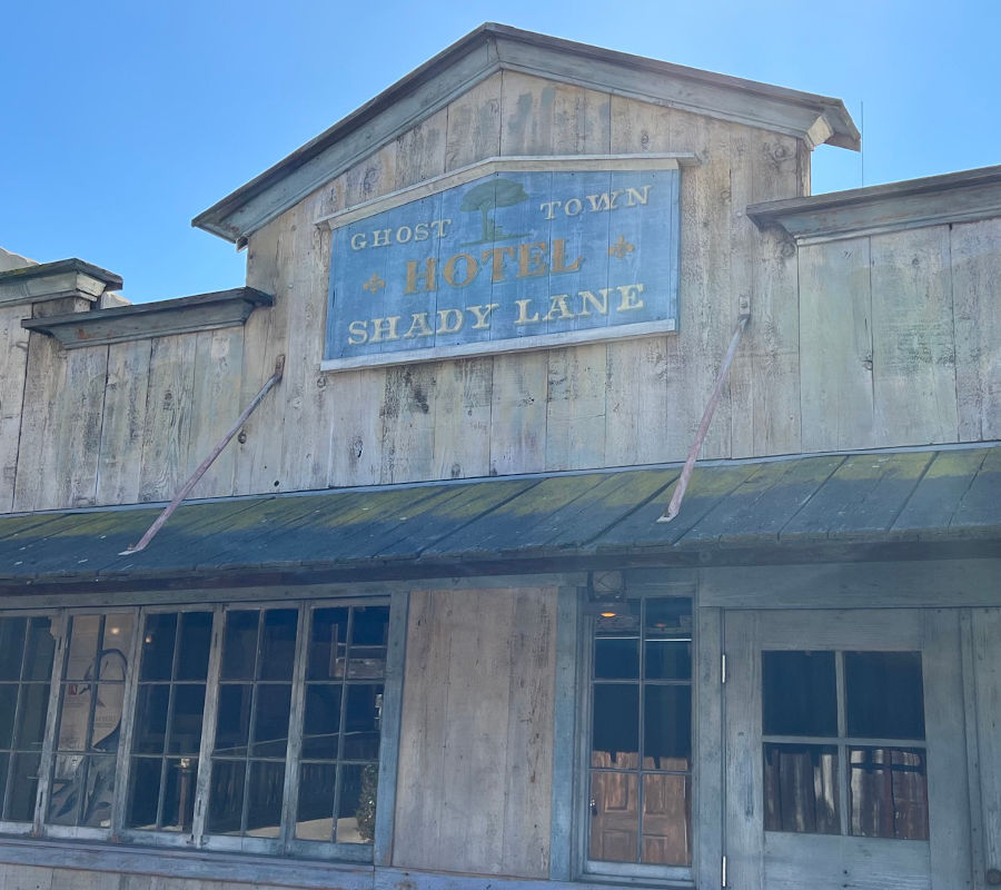Hotel Shady Lane