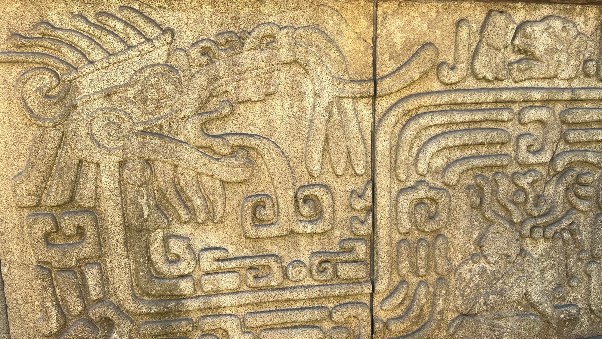 Wall Pattern Jaguar Wall Pattern