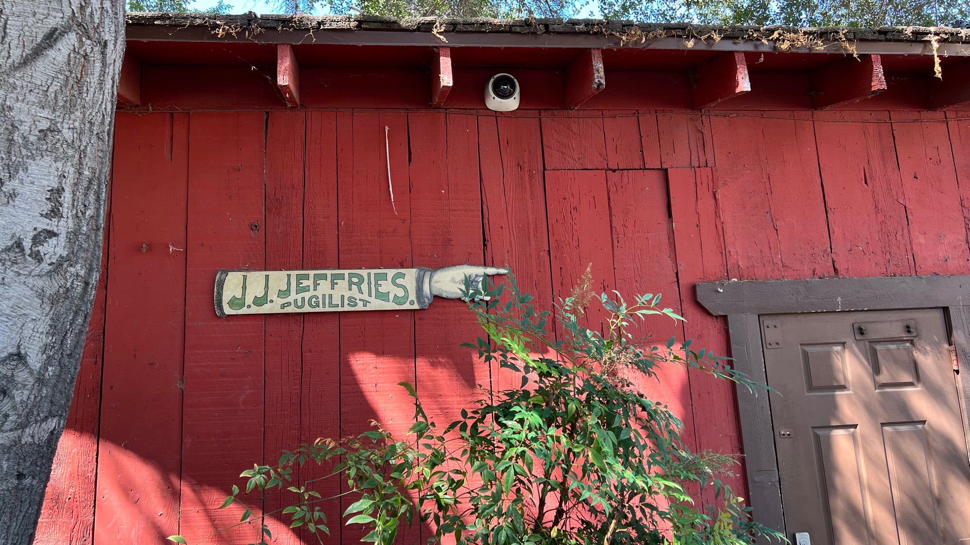 Jim Jeffries Barn Pugilist