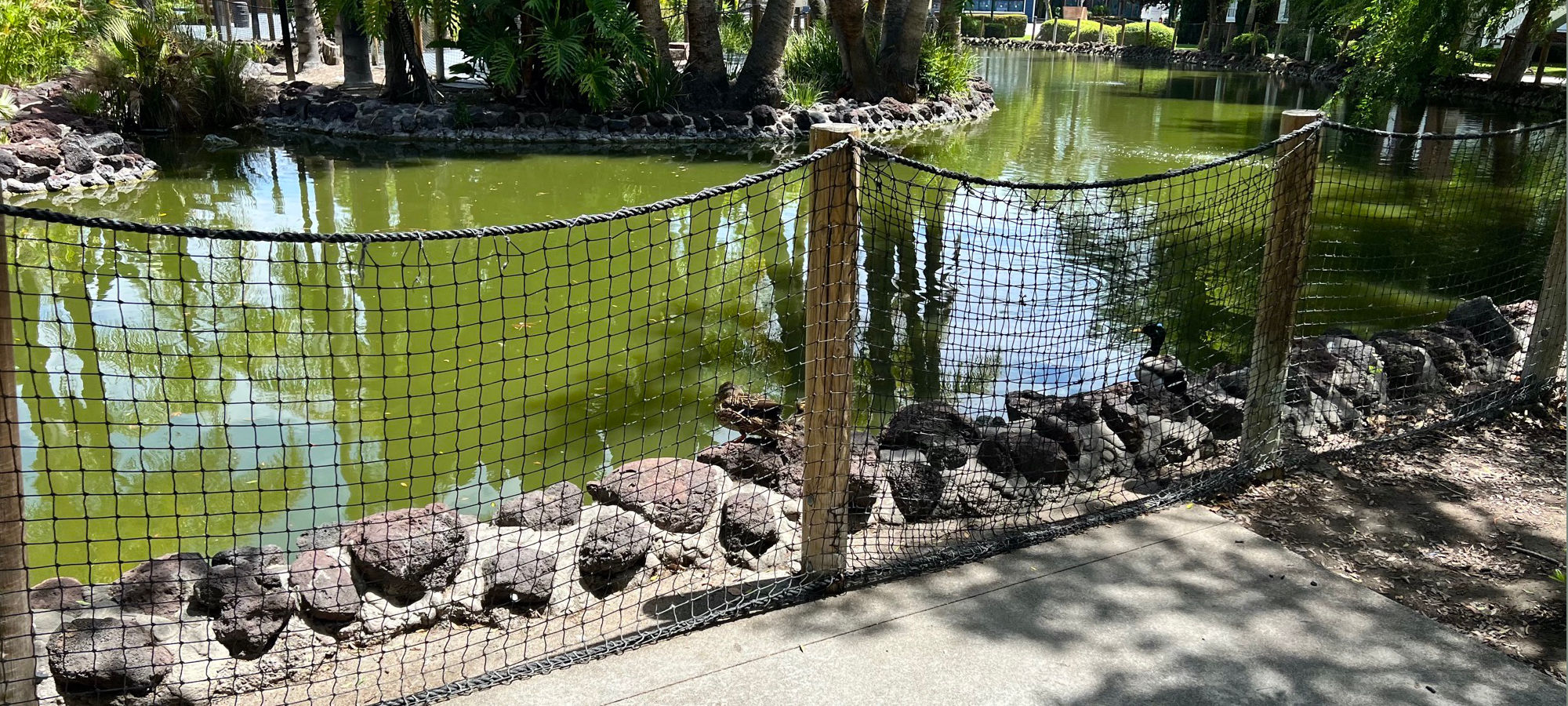 Jungle Island Lagoon Net Fence