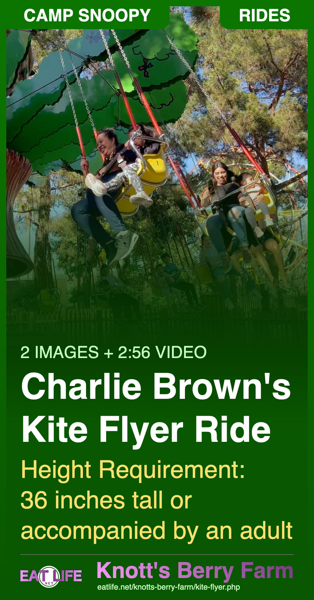 Kite Flyer