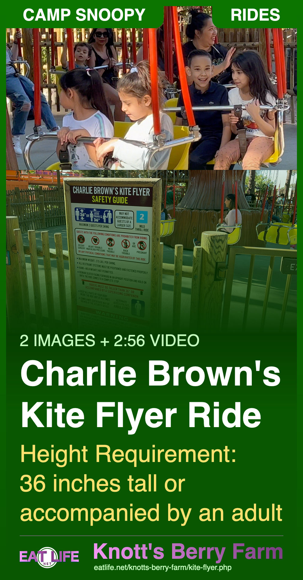 Charlie Brown's Kite Flyer