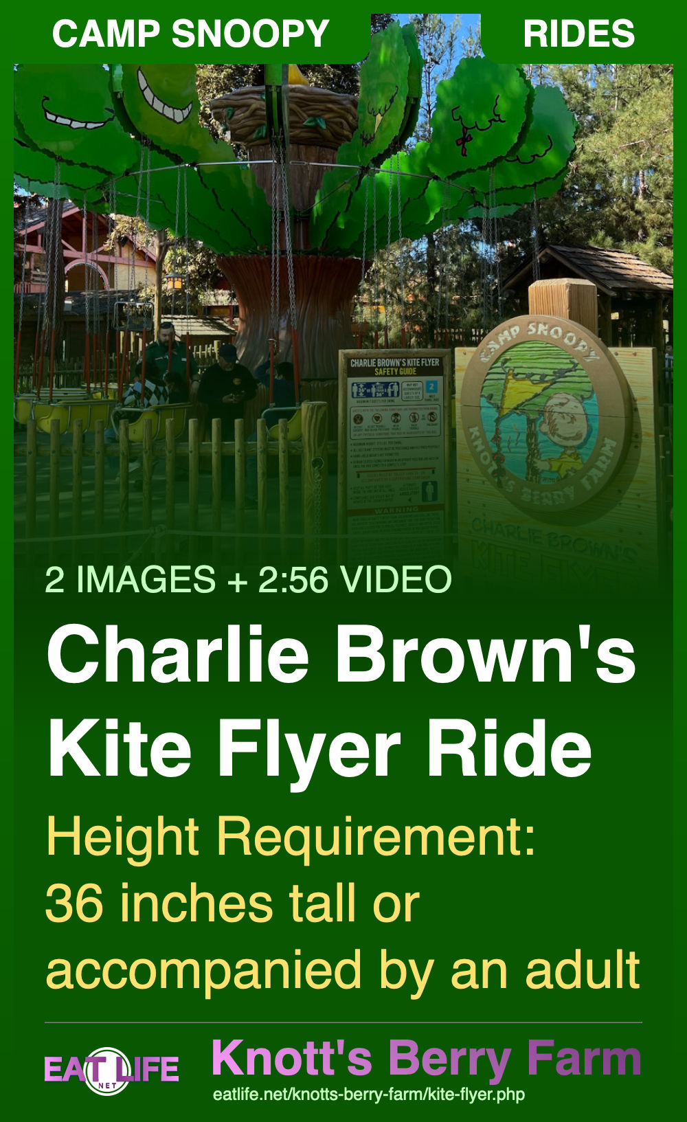 Charlie Brown's Kite Flyer