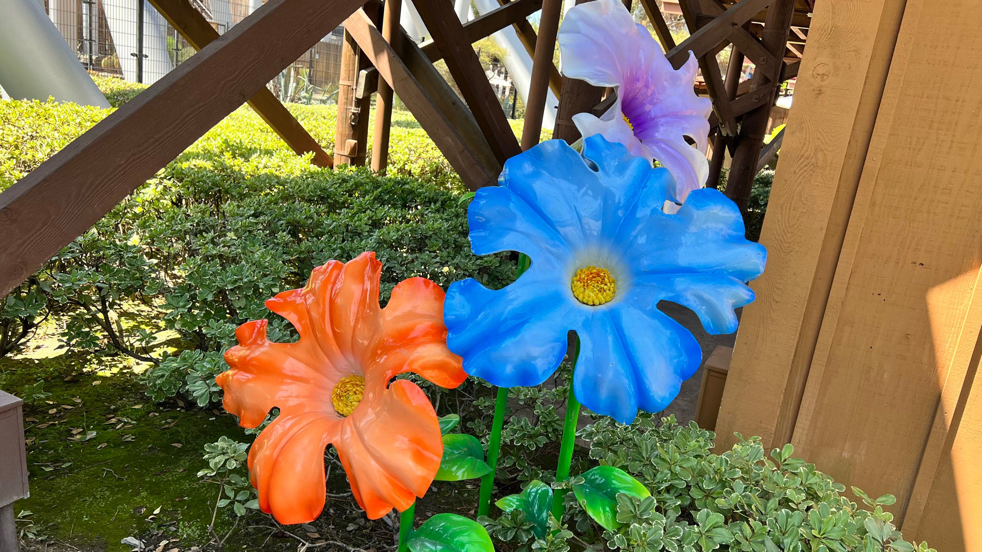 Knott's Berry Farm Easter Flowers